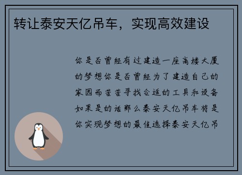 转让泰安天亿吊车，实现高效建设